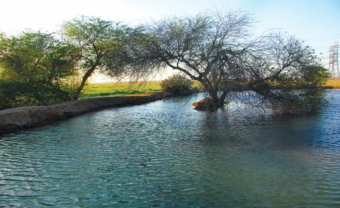 محمية صباح الأحمد الطبيعية هي محمية طبيعية عالية الجودة ومعروفة في الكويت. تبلغ مساحتها 342 كيلومترًا مربعًا وتهدف إلى الحفاظ على الحيوانات والنباتات المهددة بالانقراض داخل البيئة الطبيعية الكويتية