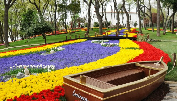  حديقة الحرية في اسطنبول من أفضل منتزهات في اسطنبول
