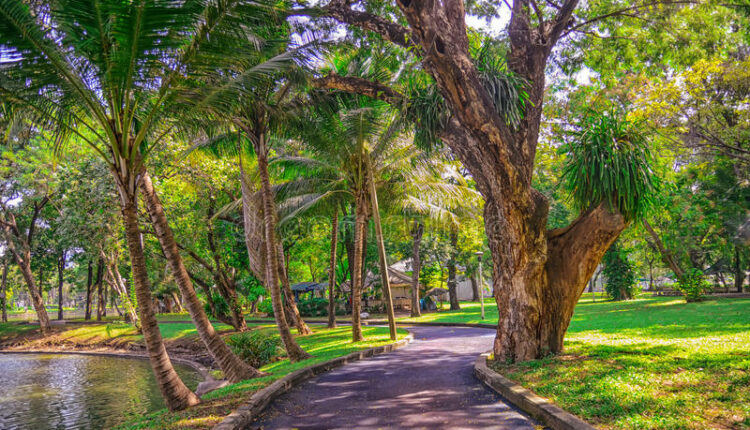 حديقة لومبيني بارك اشهر حدائق بانكوك