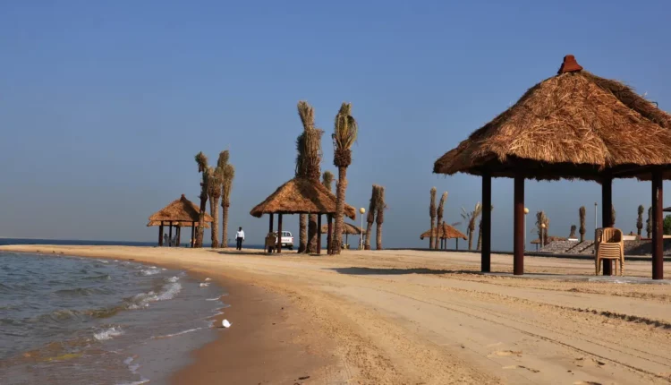  يعد شاطئ النخيل الكويت من أشهر شواطئ كويت، أنه مكانًا رائعًا لقضاء يوم مع الأصدقاء أو العائلة، حيث توجد الكثير من الانشطة للترفيه عن الجميع