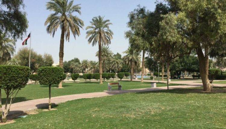 إذا كنت تبحث عن مكان مثالي للتأمل والنزهة، فلا تفوّت زيارة حديقة جمال عبد الناصر، هذه الحديقة هي واحدة من أجمل الحدائق في الكويت ومن المؤكد أنها ستوفر لك تجربة مدهشة