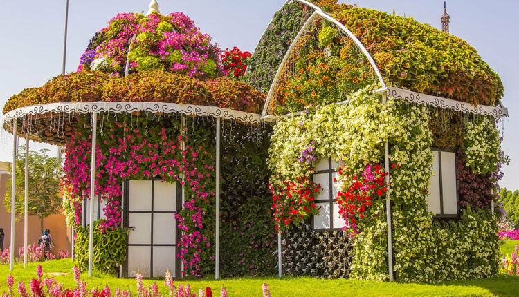 تعتبر حديقة دبى المعجزة وحدة من أجمل الأماكن في دبي
