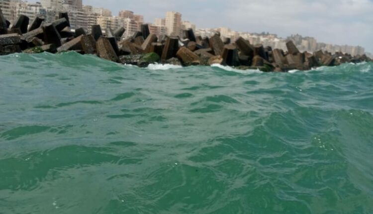 شاطئ السلام الإسكندرية