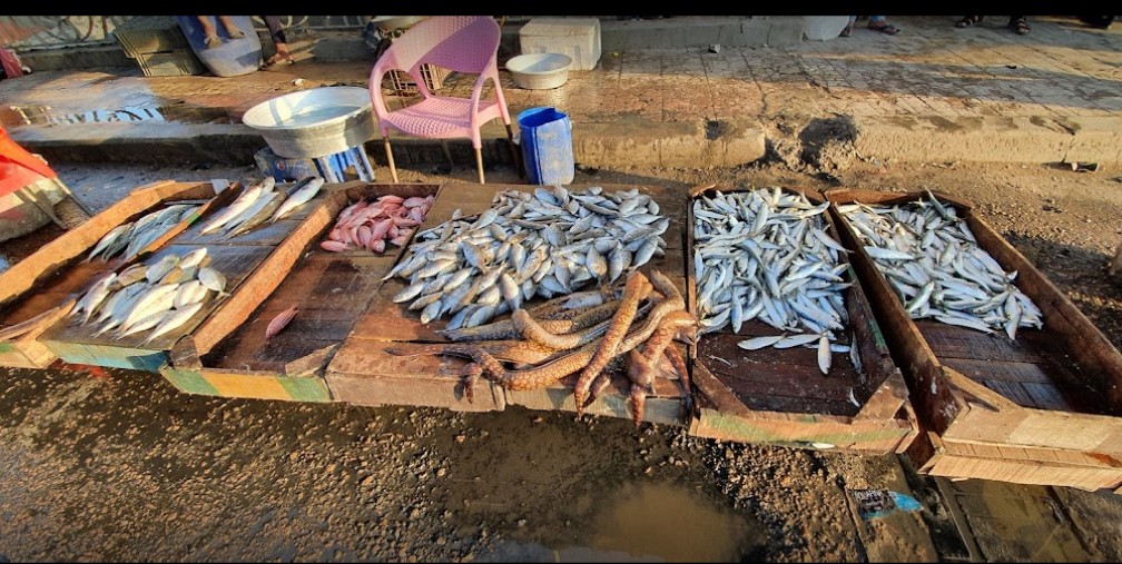 حلقة السمك المكس الإسكندرية من أجمل أسواق للسمك في الإسكندرية