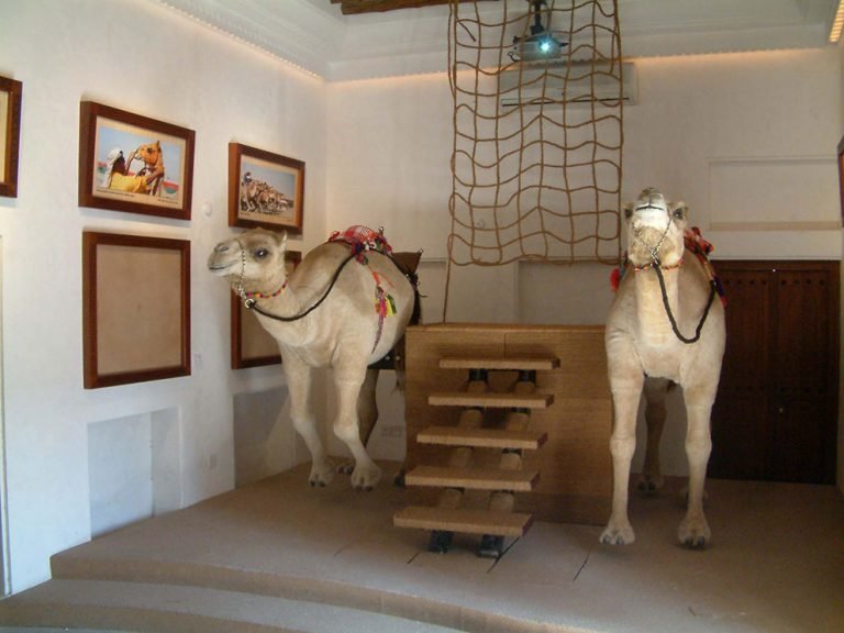 بيت الهجن دبي من متاحف دبي الفريدة