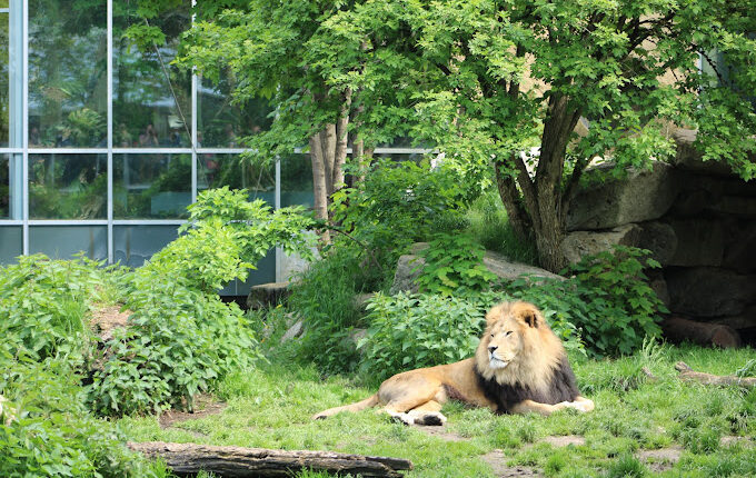 حديقة حيوانات هيلابرون ميونخ من أشهر حدائق ميونخ