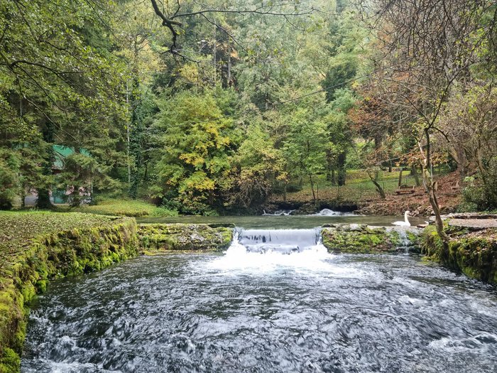 تصنف الحديقة الوطنية فريلو بوسنة من ضمن اجمل حدائق سراييفو العامة