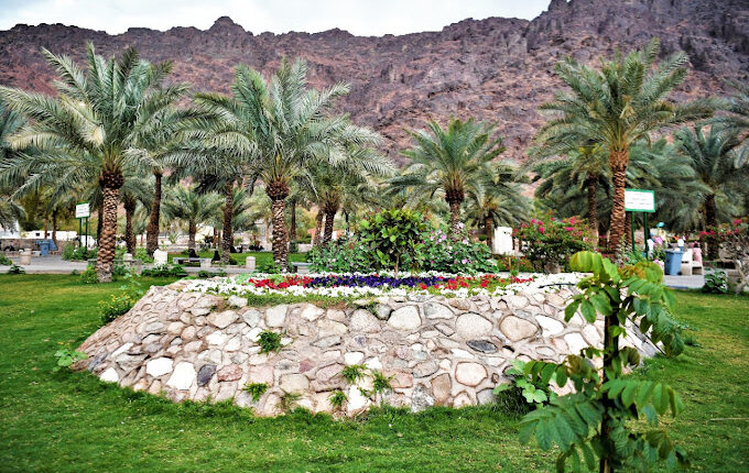 حديقة الأمير محمد بن عبد العزيز من أبرز مزارات السياحة في المدينة المنورة