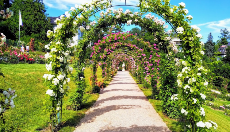 تعد حديقة الزهور بادن بادن  من أجمل حداءق بادن بادن 