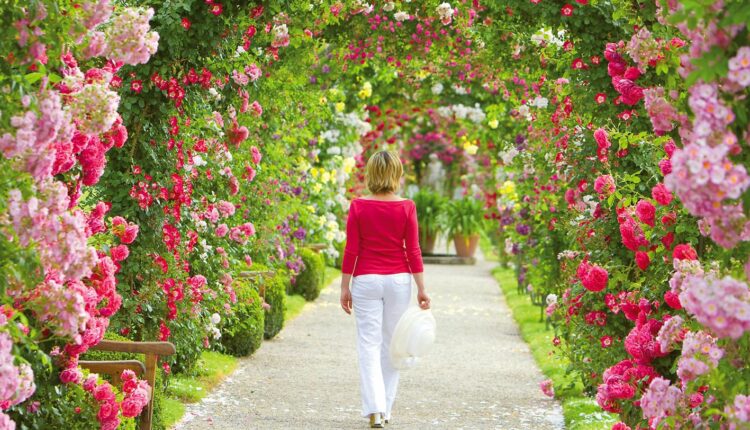 حديقة الزهور بادن بادن