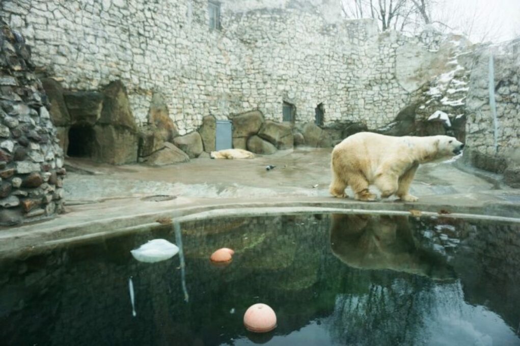 حديقة حيوان موسكو من أفضل أماكن السياحة في موسكو في الصيف