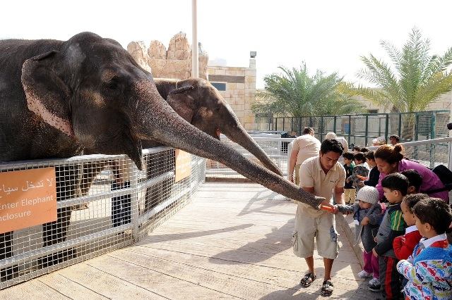 تعد حديقة الحيوانات أبوظبي من أفضل حدائق في أبوظبي التي يمكن زيارتها 
