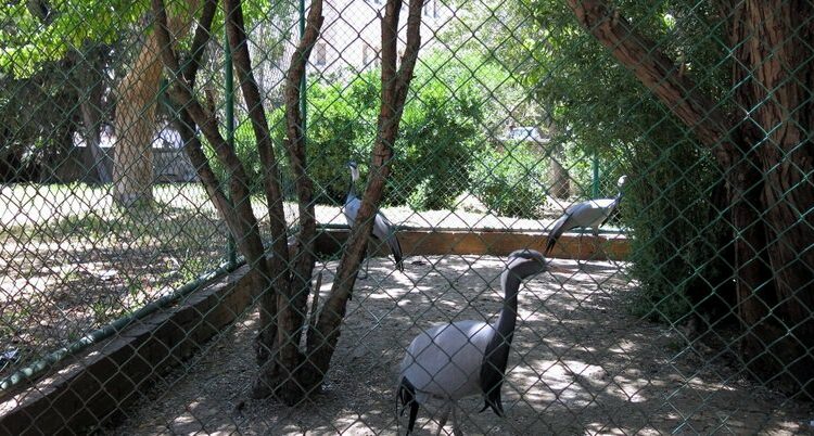 حديقة الأمير هاشم للطيور الأردن
