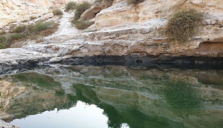 وادي الشلالة اربد من أجمل مواقع السياحة العلاجية في إربد.
