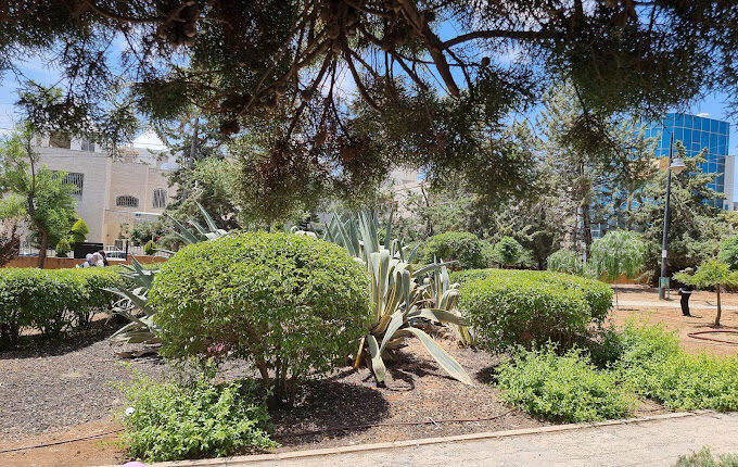 حديقة زهران عمان من أبرز حدائق عمّان الاردن

