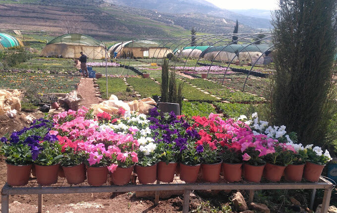 حديقة زها الزهور عمان أجمل حديقة في عمّان 
