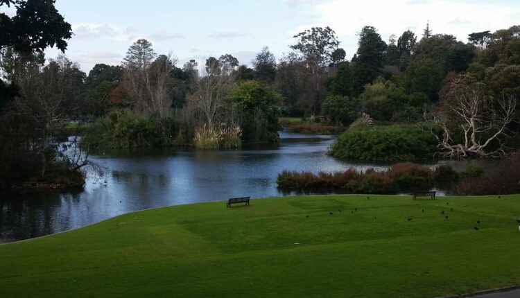 حدائق ملبورن النباتية الملكية أستراليا من أبهي أماكن سياحية في أستراليا.
