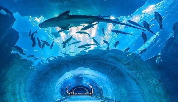 حديقة عالم تحت الماء سنغافورة