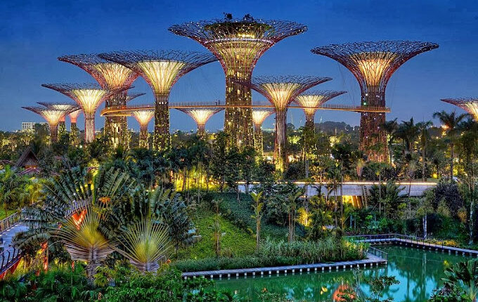 حدائق الخليج سنغافورة من أجمل معالم السياحة في سنغافورة