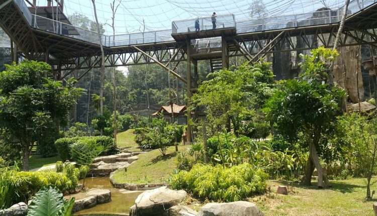 تُعد حديقة ملقا للطيور من أجمل و أشهر حدائق ملقا ماليزيا