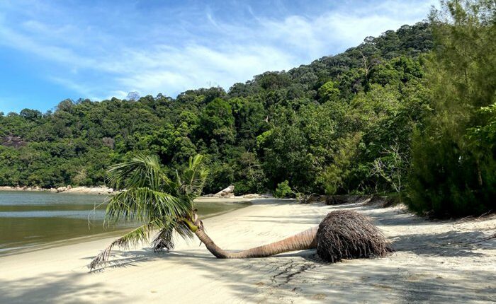 شاطئ تيلوك كامبي بينانج من معالم طبيعية في ماليزيا