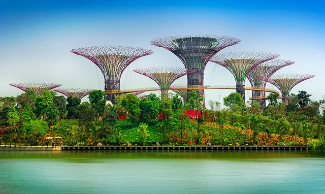 حدائق سنغافورة