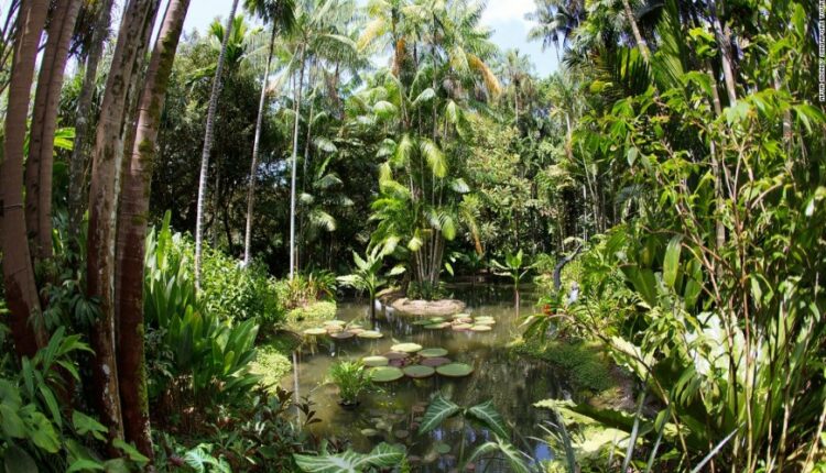 حديقة التوابل سنغافورة من أجمل حدائق سنغافورة