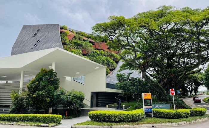 متحف لي كونغ تشيان للتاريخ الطبيعي سنغافورة من أشهر معالم سنغافورة