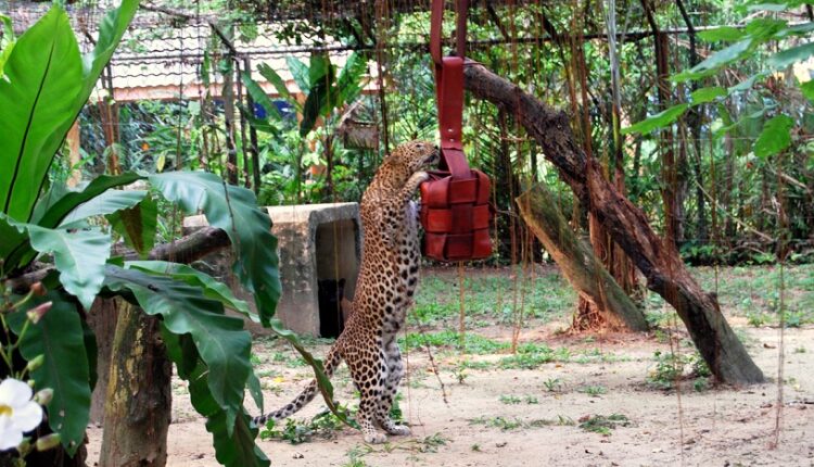 حديقة حيوان ملقا من أجمل أماكن السياحة في ملقا ماليزيا.