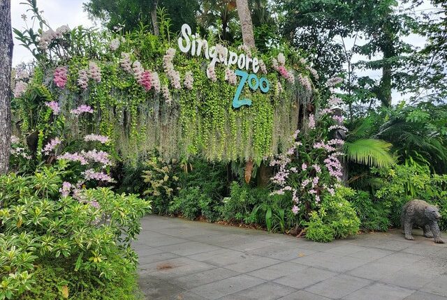 حديقة حيوانات سنغافورة من أماكن السياحة في سنغافورة للاطفال
