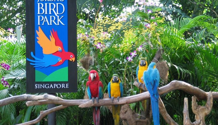 حديقة جورونغ للطيور سنغافورة