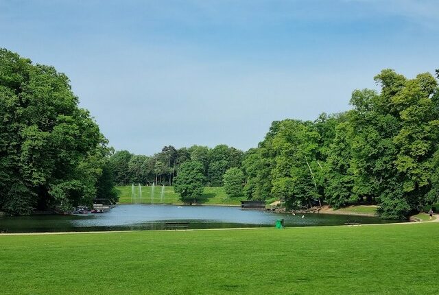 حديقة بوا دو لا كامبر بلجيكا من ضمن أروع حدائق بلجيكا